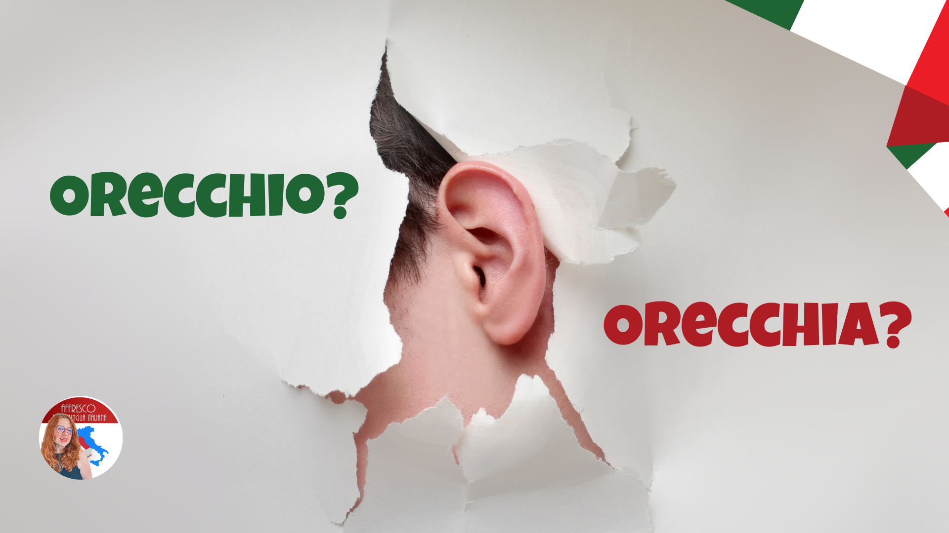 Orecchio o orecchia?